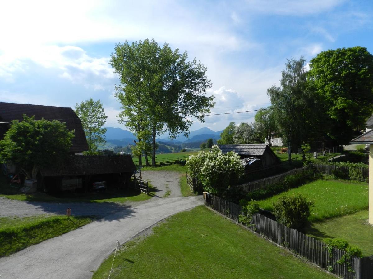 Apartment Wohlesser Neumarkt in Steiermark Buitenkant foto
